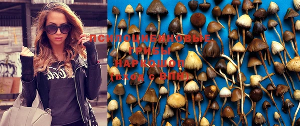 гидропоника Гусев