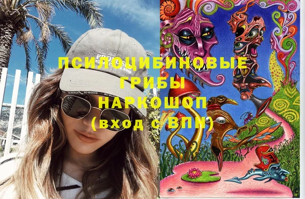 гидропоника Гусев