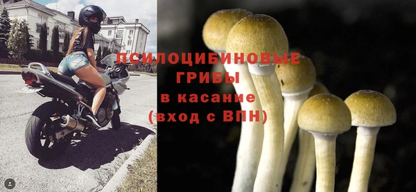 гидропоника Гусев