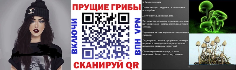 Галлюциногенные грибы прущие грибы  Вилюйск 